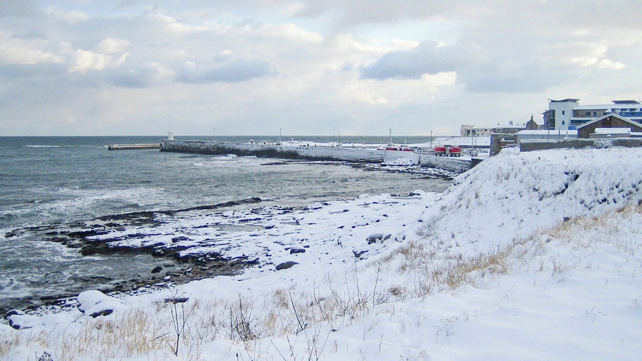 Photo of Others in Seahouses