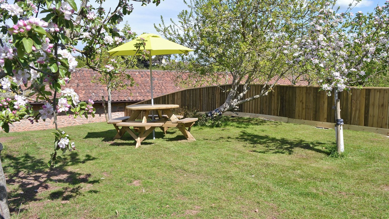 Photo of Outdoor in Weston-super-Mare