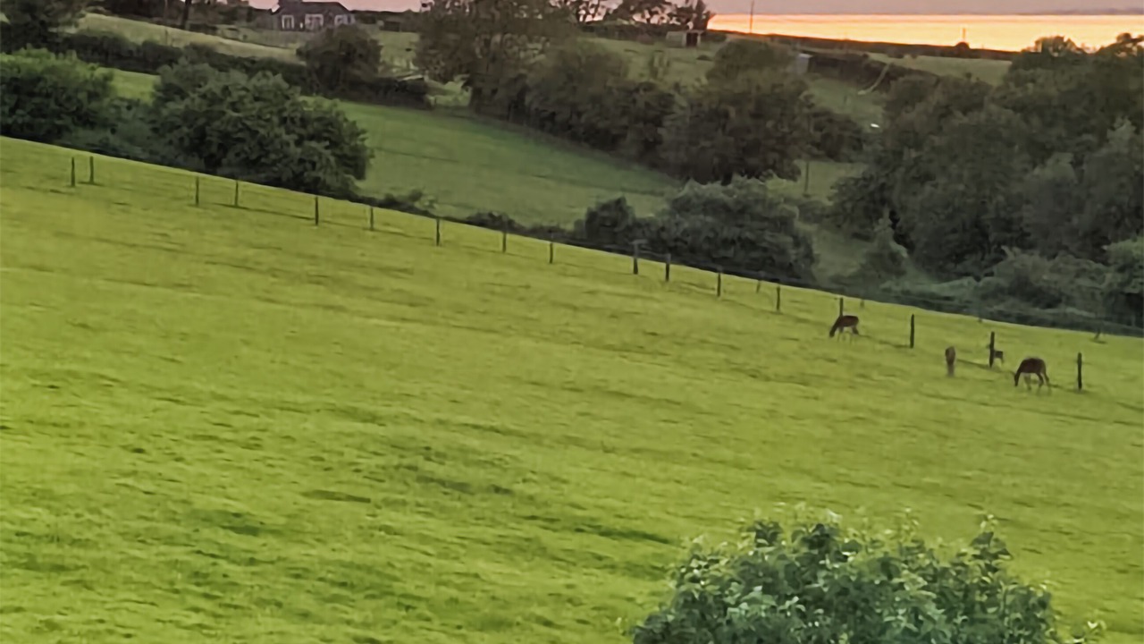 Photo of Others in Fiddington