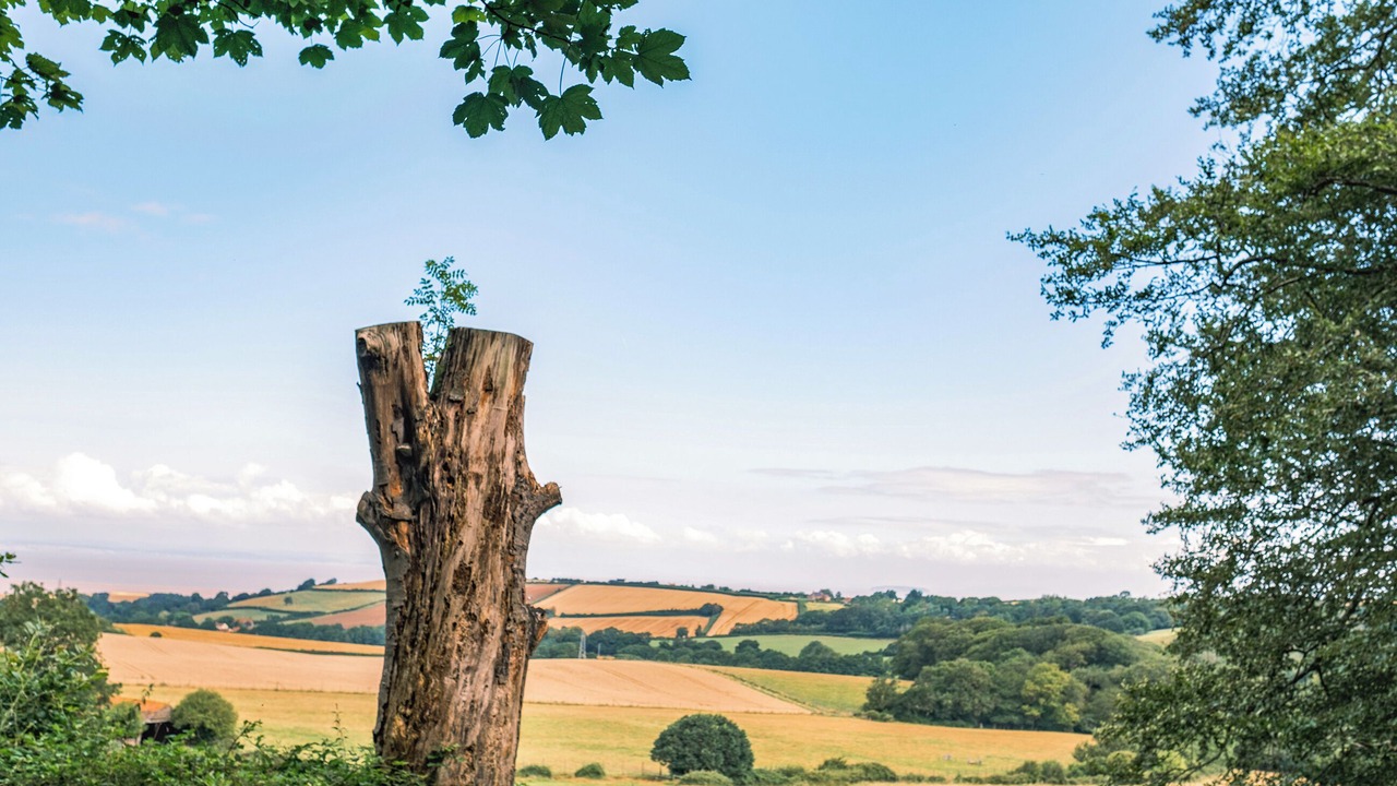 Photo of Others in Fiddington