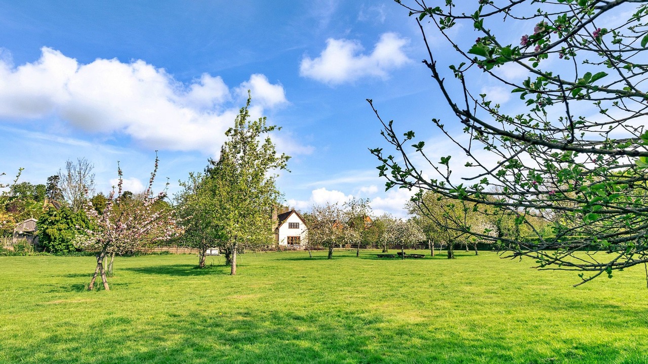 Photo of Outdoor in Beckford