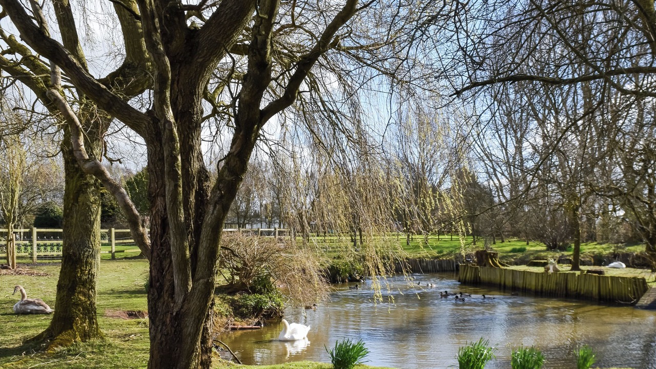 Photo of Others in Poulton-le-Fylde