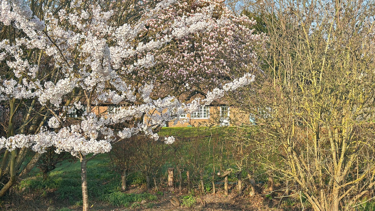 Photo of Outdoor in Upton St. Leonards