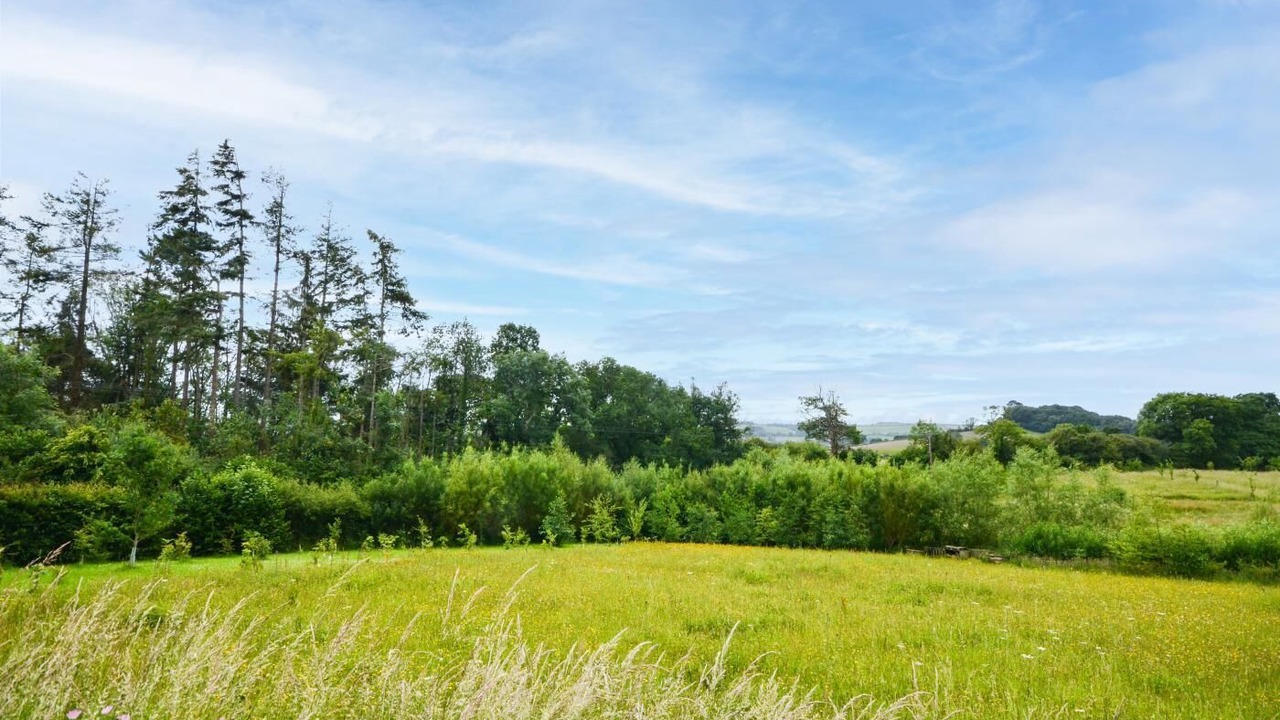 Photo of Others in Dartington