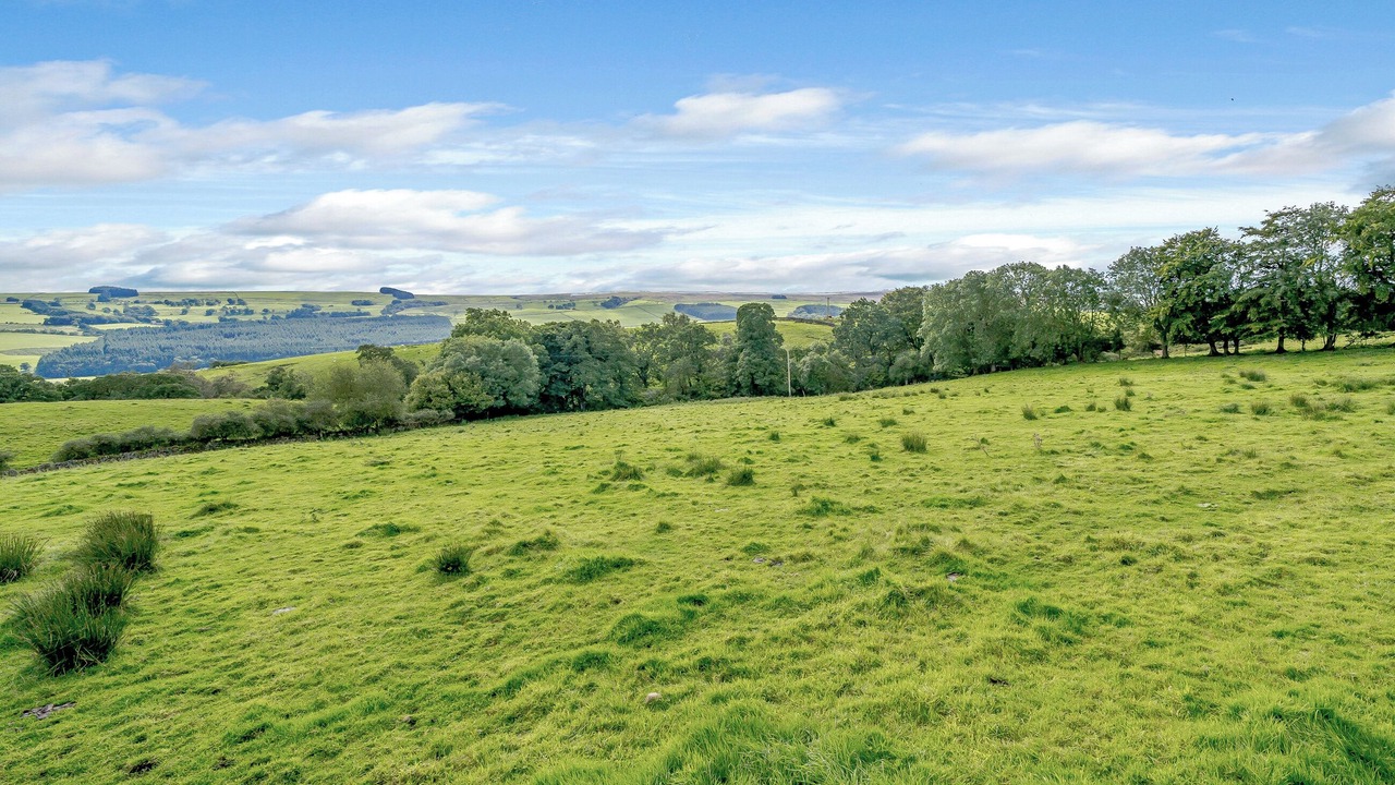 Photo of Outdoor in Henshaw