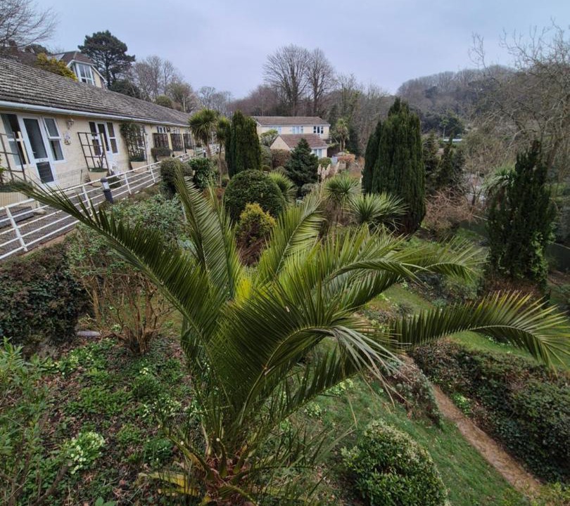 Photo of Others in Niton