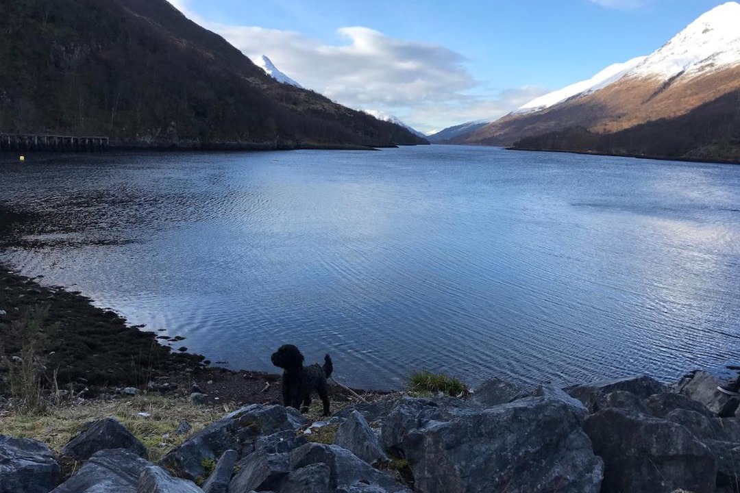 Photo of Others in Kinlochleven