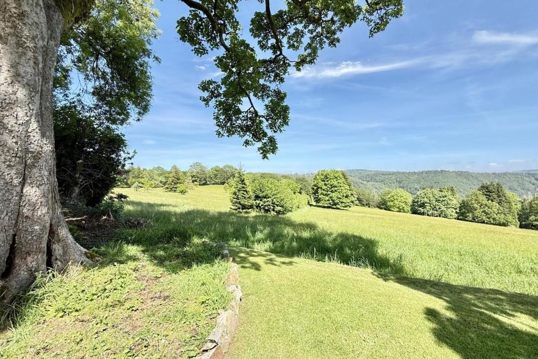 Photo of Others in Gunnislake