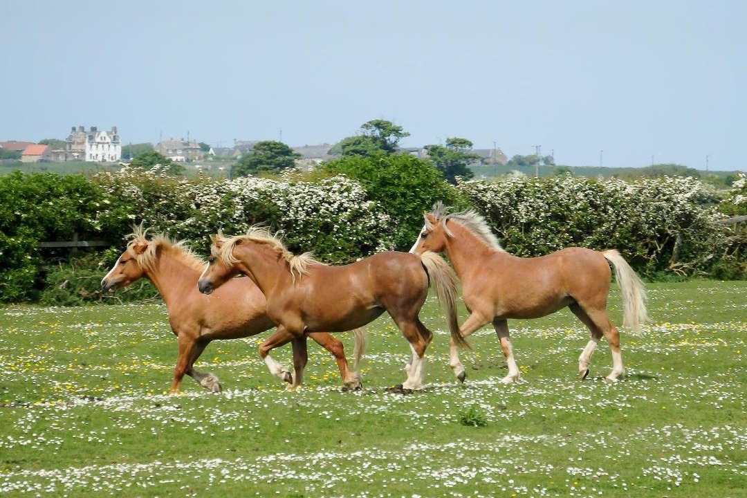 Photo of Others in Whitley Bay
