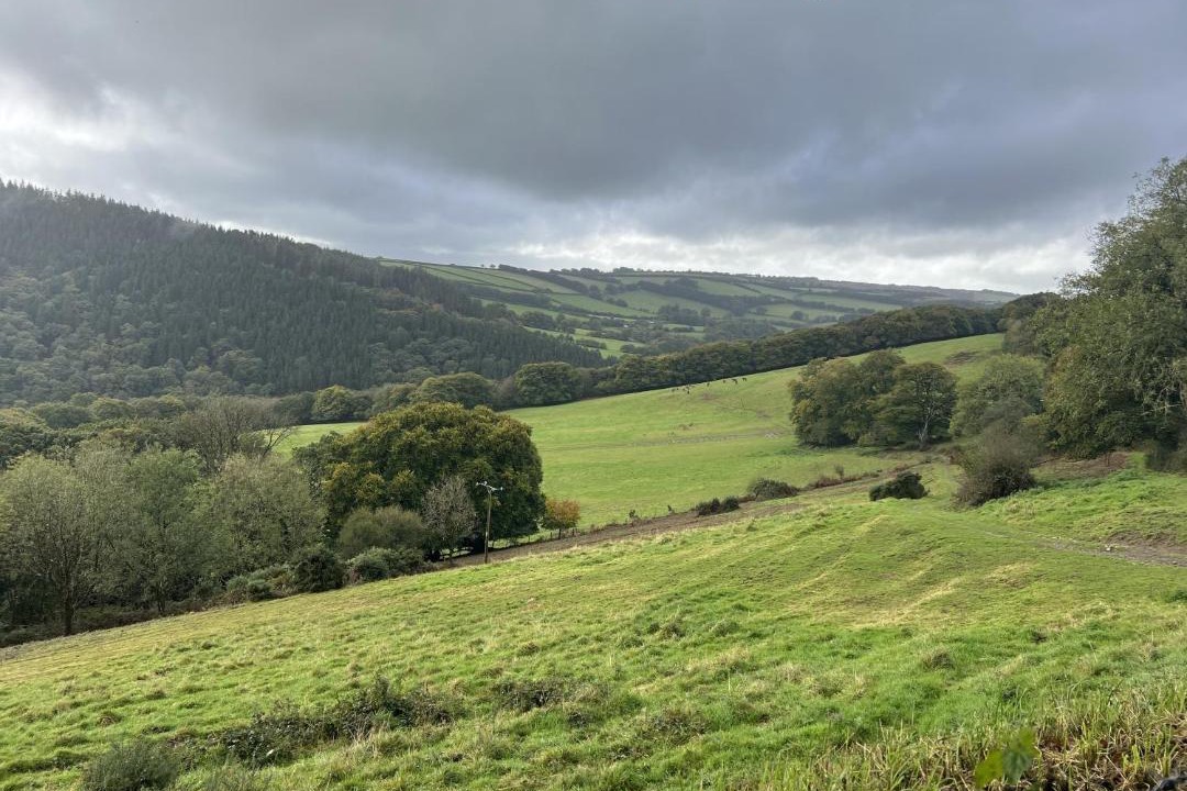 Photo of Others in Dulverton