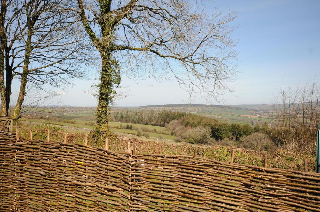 Photo of Others in Callington