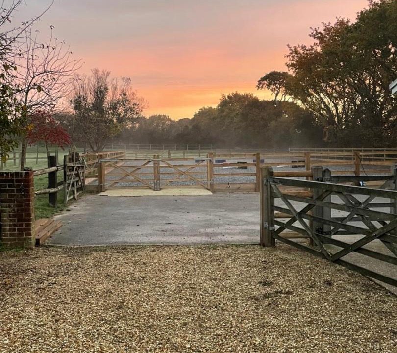 Photo of Others in New Forest District