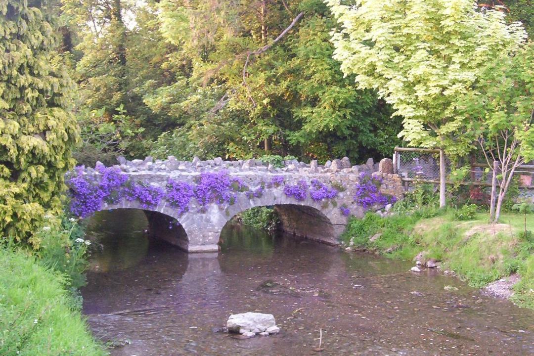 Photo of Others in Cheddar