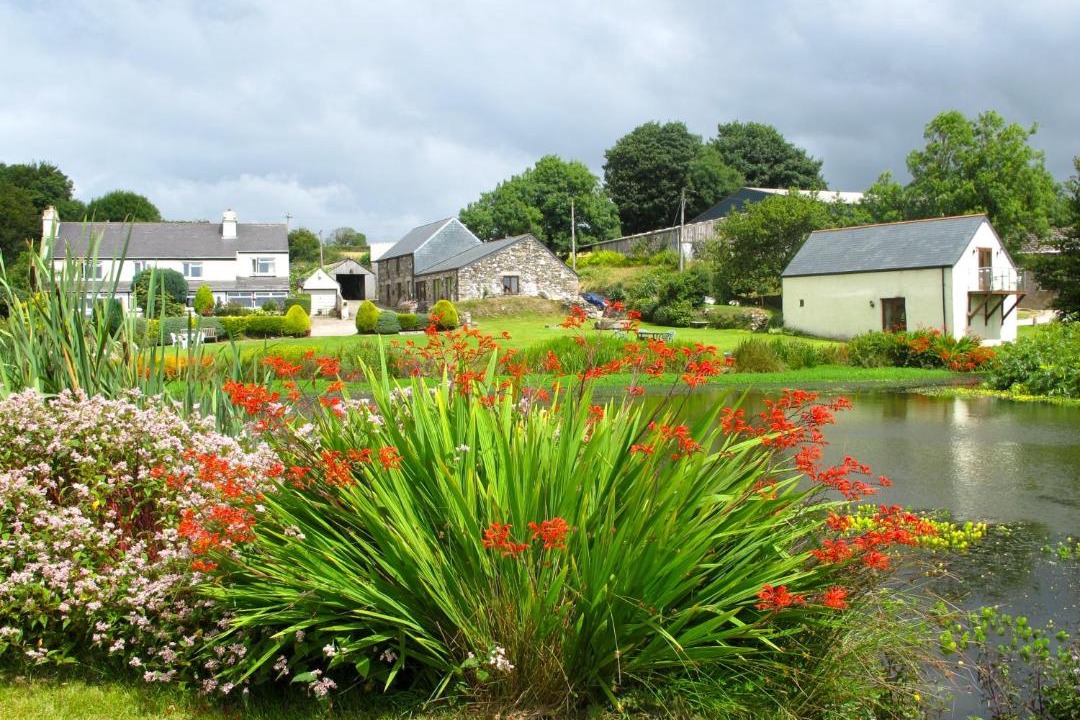 Photo of Others in Callington