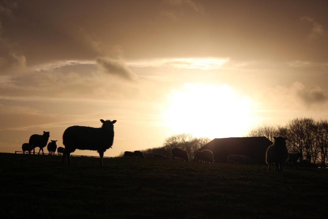 Photo of Others in Chedworth