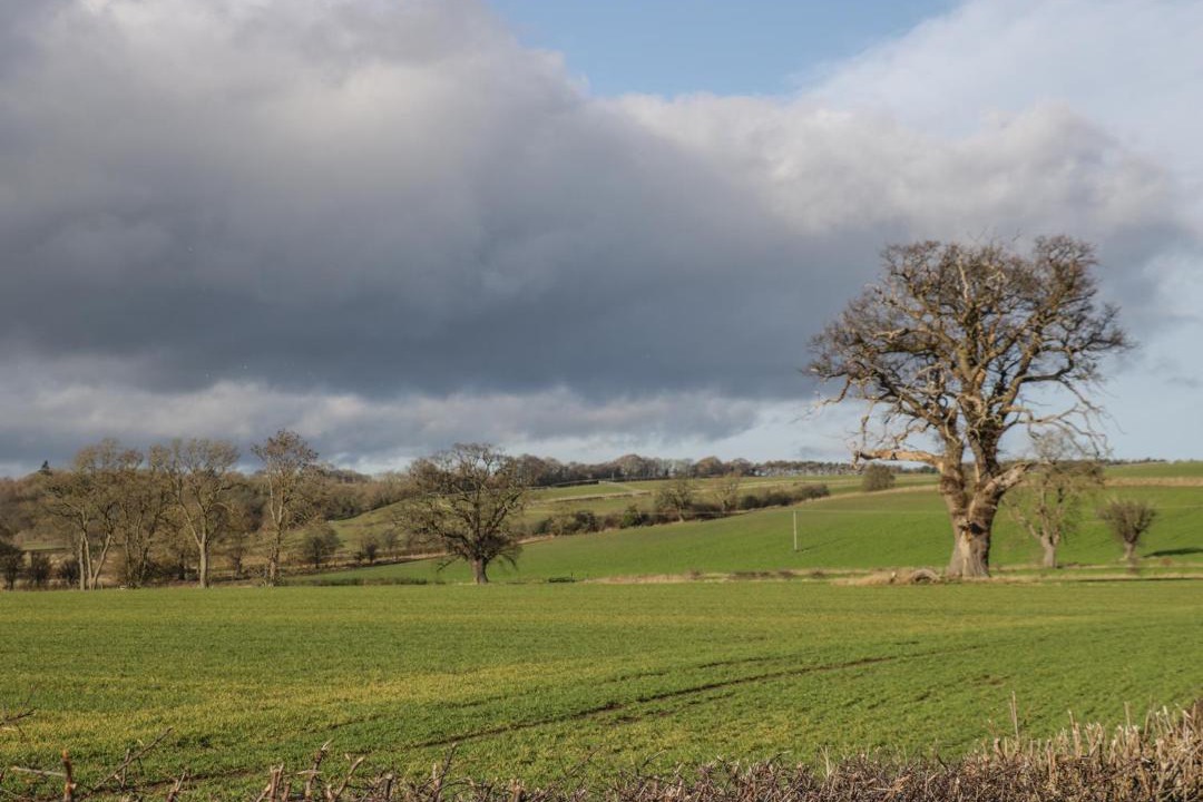 Photo of Others in Thirsk