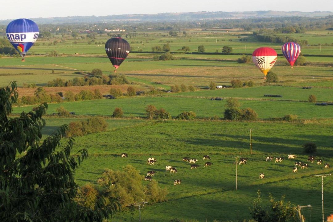 Photo of Others in Glastonbury