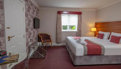 Standard King Room